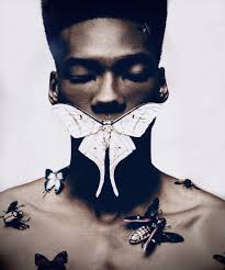 donte maurice vanclief