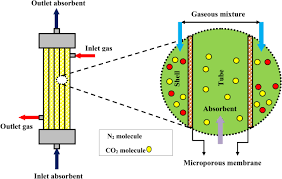Molecules are made up of atoms that are held together by chemical bonds. Molecular Investigation Into The Effect Of Carbon Nanotubes Interaction With Co 2 In Molecular Separation Using Microporous Polymeric Membranes Scientific Reports