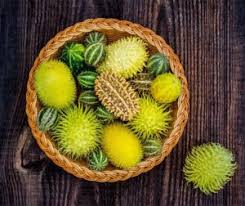 Image result for Cucumis myriocarpus