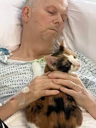 Poppy is a special needs kitten. She was born with a neurological condition  called Cerebellar Hypoplasia aka "wobbly cat syndrome." Poppy needs to be  in a home with no stairs and a