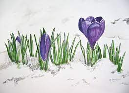 A watercolor painting of crocus flowers by julia swartz. First Flower Of Spring By Wishie On Etsy Watercolor Paintings Spring Painting Original Watercolor Painting