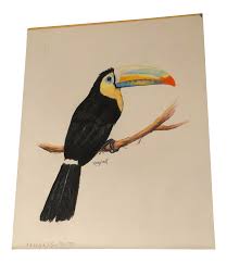 Original Colored Pencil Drawing Of A Toucan By Nancy Smith On Chairish Com Toucan Bird Tropicalb Pencil Drawings Color Pencil Drawing Colored Pencil Drawing