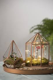Glass Terrarium Gazebo Tabletop Terrarium Gardener S Supply Tabletop Terrarium Glass Terrarium Garden Terrarium