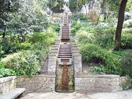 pin op paysage dans les jardins