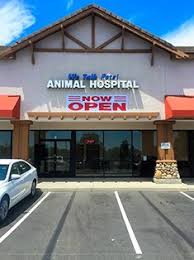 A serious injury or a baby on the way, you cannot predict anything that might befall upon you. Veterinarian In Upland Ca We Talk Pets Animal Hospital