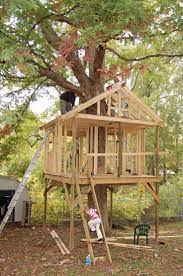 Pictures Of Tree Houses And Play Houses From Around The World Plans And Build Tips Guide Tree House Diy Tree House Kids Tree House Plans