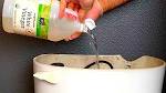 How to Clean a Toilet Naturally Cleaning Without Chemicals