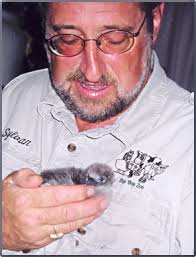 Hawaii Volunteer Vacations