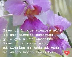 Para los que son amantes del amor y gustan de compartir hermosas imágenes de amor y frases lindas dejo estas imágenes de besos con frases hermosas para dedicar a mi novio por vía de la red social preferida que tengan. Frases De Amor Para Dedicar A Mi Novia Novio O Relacion