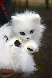 Arctic Fox Whimsical Animals Fantasy Creatures From Faux Etsy Animals Arctic Fox Cute Animals
