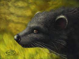 Little old ginterbong makucha and his friends meet mama binturong who comes up with a plan to get into the tree of life in order for the predators to eat the animals. Binturong By Tinselfire On Deviantart