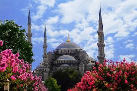 Silakan habiskan waktu dengan mengunjungi beragam taman elok di istanbul. Wallpaper Pemandangan Bunga Bunga Kota Alam Bangunan Langit Pariwisata Istanbul Turki Mesjid Nikon Musim Semi Puncak Menara Nikita Pohon Nikkor Bunga Menanam Tengara D90 Vr 18105mm Objek Wisata Tempat Beribadah Arsitektur