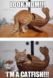 Maddex Park (maddexp)