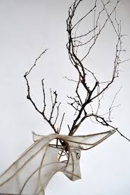 Russell Cuthbert (russellcuthbert)