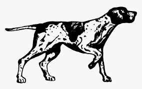 Also you can search for other artwork with our tools. Pointer Svg Clip Arts German Shorthaired Pointer Line Art Hd Png Download Transparent Png Image Pngitem