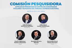 PESQUISIDORA QUE LLEVARÁ EL CASO DE MAGISTRADOS DEL TSE