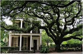Pin By Beth Harrell On Funeral Home New Orleans Homes New Orleans Garden District Garden District