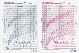 Breastfed Baby Weight Gain Chart Best Picture Of Chart