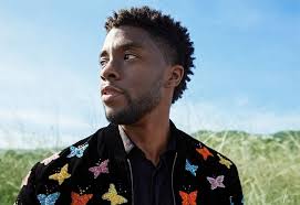 The Wild Reed: Remembering Chadwick Boseman