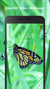 Bacground bunga dan kupu kupu bergerak 8 gambar animasi kupu kupu bergerak gambar animasi gif swf dp bbm bergerak. Wallpaper Animasi Kupu Kupu For Android Apk Download