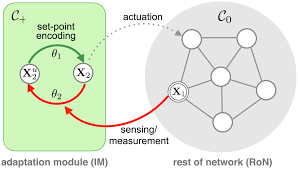 Universal structural requirements for maximal robust perfect adaptation in  biomolecular networks | PNAS