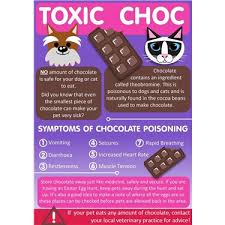 See full list on thesprucepets.com Toxic Chocolate