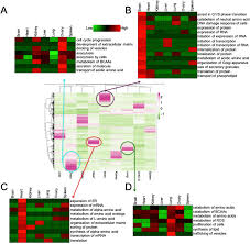 Although protein synthesis dynamics has been studied both with theoretical models and by profiling ribosome footprints, the determinants of ribosome flux along open reading frames (orfs). Center Heat Map Of Highly Expressed Proteins The Top 200 Proteins Are Download Scientific Diagram