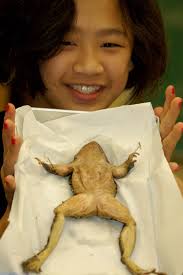 SOMS Hosts School in Action Night