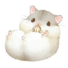 Hamsters Hamster Cartoon Cute Animal Drawings Cute Kawaii Animals