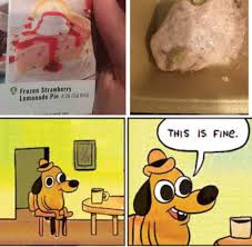 This Is Fine Check More At Https Www Evmore Net Social This Is Fine Frozen Strawberry Lemonade Expectation Vs Reality Lemonade Pie