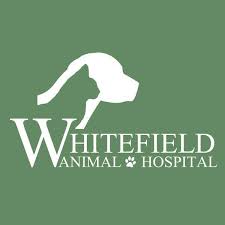 View pharmacy hours, refill prescriptions online and get directions to walgreens. Companion Pet Care Of Littleton Home Facebook