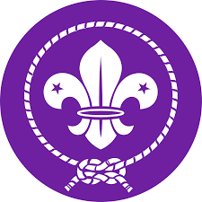 Scout tenderfoot 2nd class 1st class star life eagle this project is meant for all scouts, eagle scouts. World Scout Emblem Wikipedia