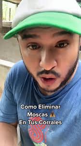 Como eliminar moscas en tus corrales #parati #fypシ #fyp #viral