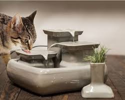 Trinkbrunnen Fur Katzen 5 5 Liter Keramik Ideen Spruche Cat Water Fountain Cat Fountain Cat Drinking