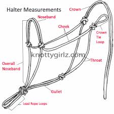 Perfect Fit Rope Halter Sizes