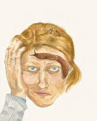 Augenscheinlichkeiten