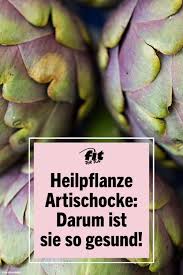 Artischocken Wissenswertes Inhaltsstoffe Und Rezepte In 2020 Gesundheit Gesundheit Und Wohlbefinden Ernahrungstipps
