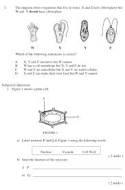The following are examples of actual examination papers used in past years. Science Kssm Pt3 Spm Science Form 1