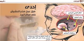 عندما يحدث خلل في إنتاج التستوستيرون وتقل نسبته في الجسم، يتعرض الإنسان إلى في البداية لا يتم معرفة هل تم التعرض لأي ضرر من العادة السرية أم لا إلا من خلال الشعور علاج مخاطر وأثار العادة السرية على التستوستيرون. Ø§ÙØ¥Ø¯ÙØ§Ù ØªØºÙØ±Ø§Øª Ø¹ÙÙÙØ© ÙÙ Ø§ÙØ®ÙØ§ÙØ§ Ø§ÙØ¹ØµØ¨ÙØ© ÙÙÙØ®