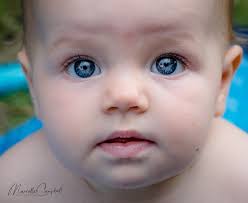 Marcelle Campbell Photography (@marcellecampbellphotography) • Instagram  photos and videos