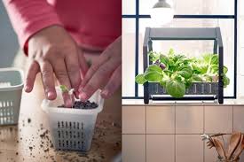 Purchased supplies (including small pots of plants) 2. Ikea Indoor Garden