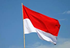We did not find results for: 1001 Gambar Animasi Bendera Merah Putih Bergerak Cikimm Com