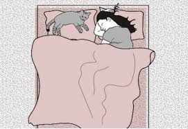 Eğer kuyruk dik ve ucu hafif kıvrıksa heyecanlı olduğunu belirtir. Evcil Hayvaninizin Uyku Pozisyonuyla Karakter Analizi Yapabilirsiniz Fotograf Galerisi