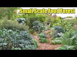 A safe space to be in a natural environment. How To Maximize Production On A Small Scale Food Forest Design Youtube