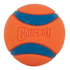 Chuckit Ultra Ball 2pk Orange Blue M In 2020 Dog Fetch Toy Tough Dog Toys Dog Toys