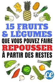 15 Fruits Legumes Que Vous Pouvez Faire Repousser Chez Vous A L Infini Repousser Les Legumes Fruits Et Legumes Potager Domestique