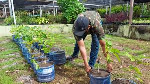 Prefeitura intensifica vigilância do Horto de Macapá e disponibiliza  guardas municipais de domingo a domingo