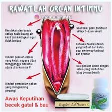 Maka dari itu , kami sajikan untuk an. Pin Di Tips Merapatkan Miss V