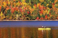 Fall Foliage Paddle
