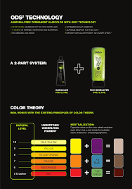 Free Inoa Color Chart Pdf 6788kb 7 Page S Page 6